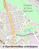 Via Giuseppe Messina, 6,00173Roma