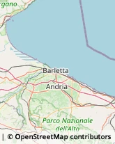 Maglieria - Dettaglio,76011Barletta-Andria-Trani