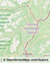 Gioiellerie e Oreficerie - Dettaglio,38017Trento