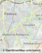 Via delle Porte Contarine, 4,35137Padova