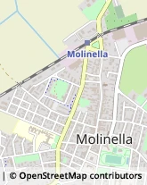 Via Giuseppe Mazzini, 251,40062Molinella