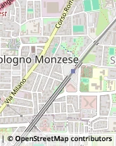 Viale Piave, 9,20093Cologno Monzese