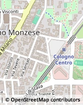 Via Goffredo Mameli, 4,20093Cologno Monzese