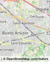 Piazza Santa Maria, 6,21052Busto Arsizio