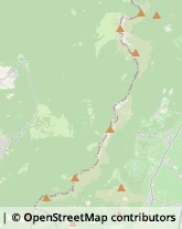 Aziende Agricole,39040Bolzano