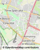 Viale Anicio Gallo, 47,00174Roma