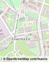 Viale Antonio Ciamarra, 259,00173Roma