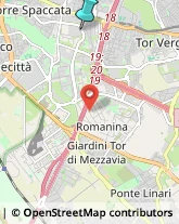 Autofficine e Centri Assistenza,00169Roma