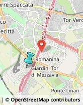 Agenti e Rappresentanti di Commercio,00173Roma