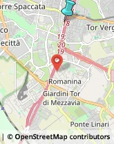 Serramenti ed Infissi, Portoni, Cancelli,00169Roma