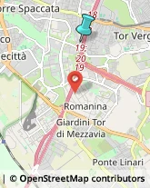 Autofficine e Centri Assistenza,00169Roma