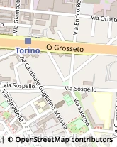 Via Cardinale Guglielmo Massaia, 117,10147Torino