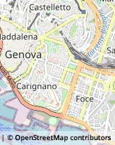 , 16100,16100Genova