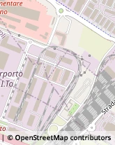 Trasporti Celeri,10095Torino