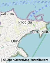 Assicurazioni,80079Napoli