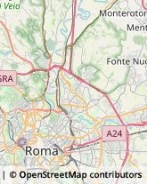 Via Egidio Galbani, 63,00156Roma