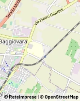 Via Giuseppe Gambigliani Zoccoli, 25,41126Modena