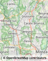 Stucchi Decorativi,20841Monza e Brianza