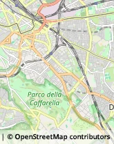 Via Attilio Zuccagni Orlandini, 10,00176Roma