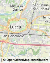 Lavoro Interinale,55100Lucca