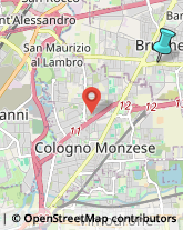 Palestre e Centri Fitness,20861Monza e Brianza