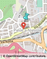 Vendite per Corrispondenza,51018Pistoia