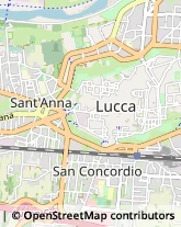 Via Santa Croce, 79,55100Lucca