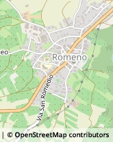 Vicolo degli Effi, 19,38010Romeno