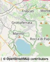 Via Amedeo Principe, 15,00044Frascati