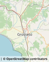 Ortofrutticoltura,58100Grosseto