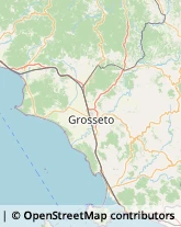 Ortofrutticoltura,58023Grosseto