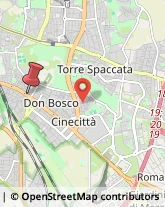 Via Tuscolana, 695,00174Roma