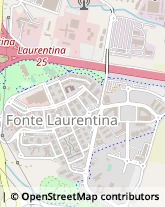 Via Luigi De Marchi, 14,00134Roma