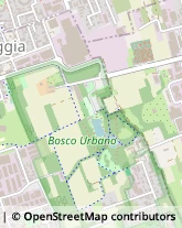 Griglie e Grigliati,20851Monza e Brianza