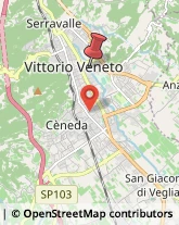 Via Giosuè Carducci, 13,31029Vittorio Veneto