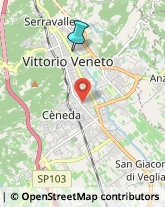 Autofficine e Centri Assistenza,31029Treviso