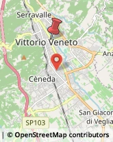 Via Virgilio, 43,31029Vittorio Veneto