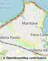 Via Giovanni Chiassi, 54,46100Mantova