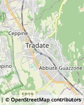 Via ai Ronchi, 99,21049Tradate