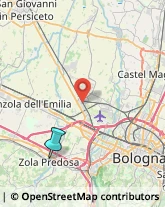 Consulenza alle Imprese e agli Enti Pubblici,40069Bologna