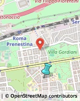 Agenzie di Animazione e Spettacolo,00177Roma