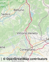 Via Giuseppe Verdi, 19,31015Conegliano