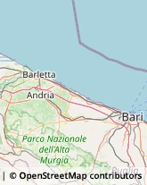 Via Pasubio, 49,70031Andria