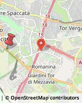 Via Tuscolana, 1055,00174Roma