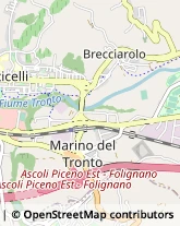 Via del Commercio, 70,63100Ascoli Piceno