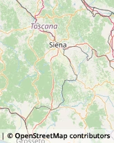 Via Logge del Papa, 2,53100Siena