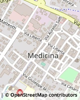 Piazza Giuseppe Garibaldi, 37/38,40059Medicina