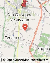 Via Giuseppe Ammendola, 82,80047San Giuseppe Vesuviano