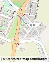 Str. Vaciglio Sud, 737,41123Modena