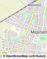 Via R. Valeriani, 25,40062Molinella